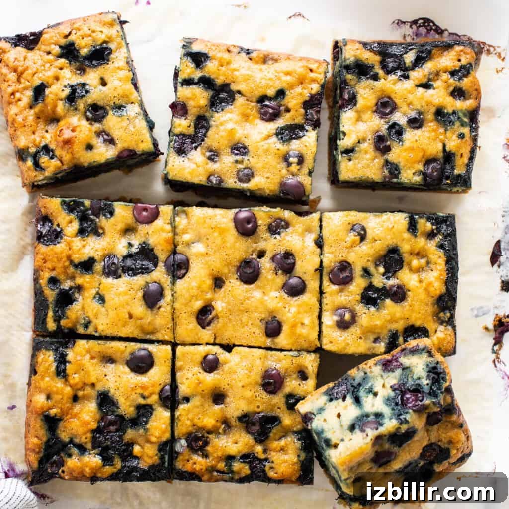 Fluffy Blueberry Breakfast Cake Recipe 5 img 19593 4