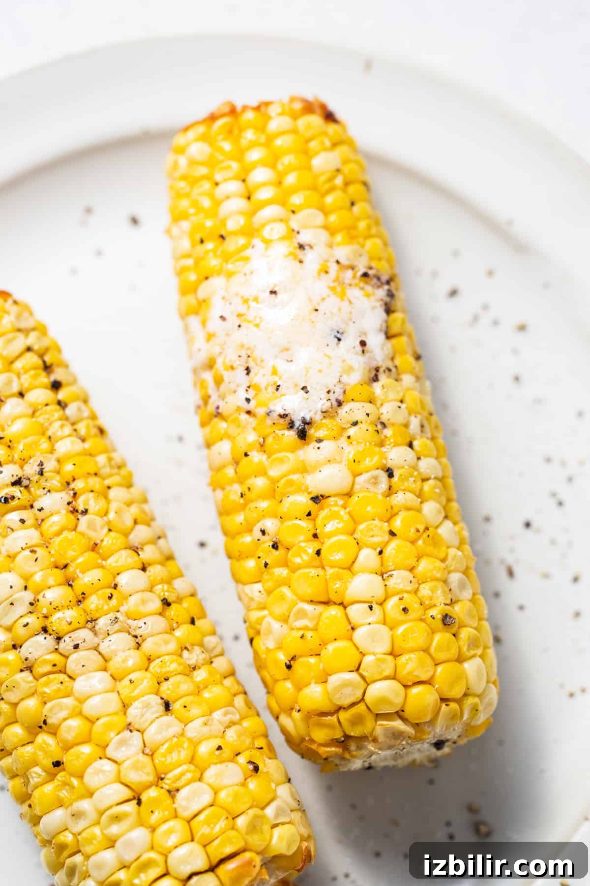 Corn on the cob on a plate.