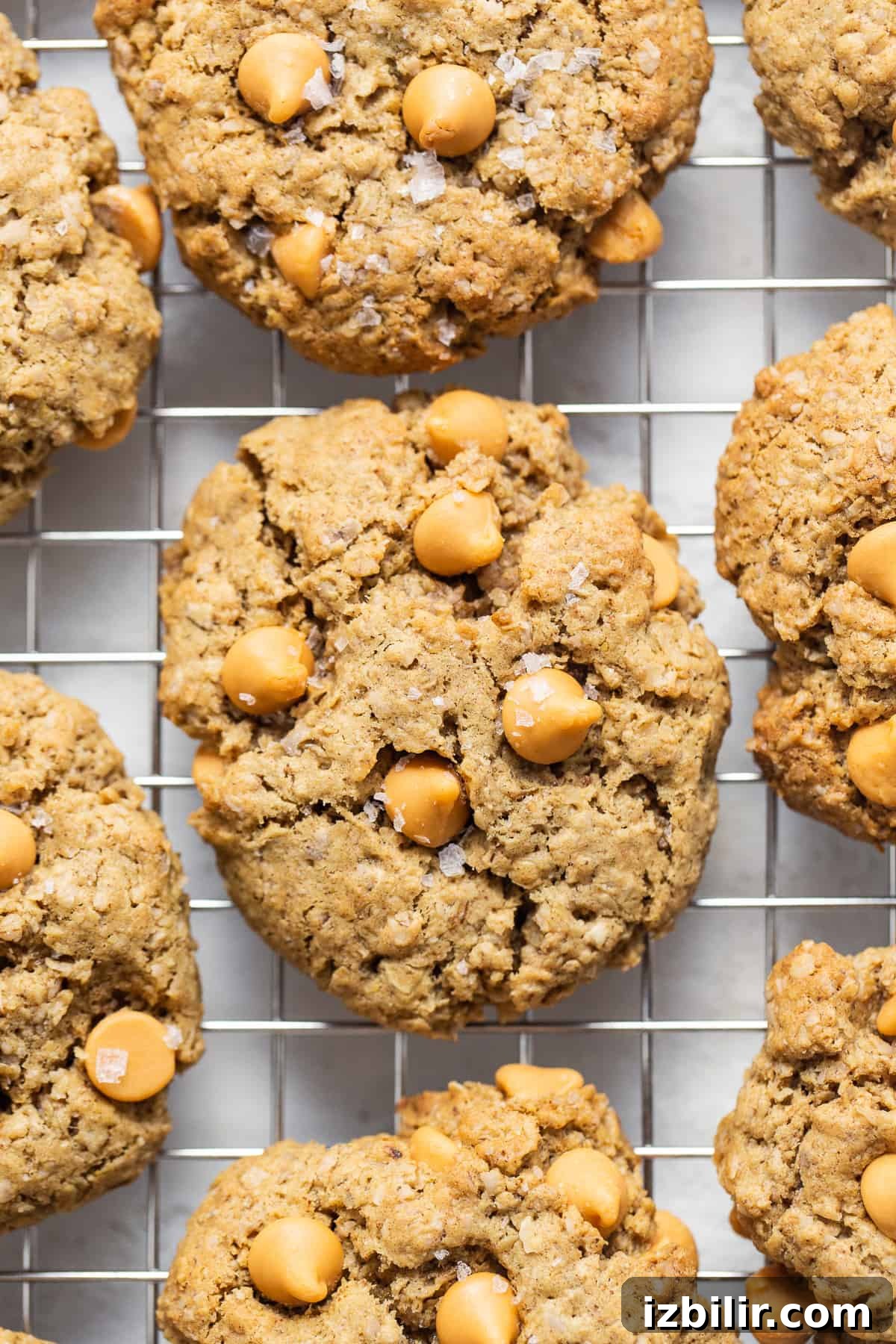 Butterscotch cookies cooling on a wire rack