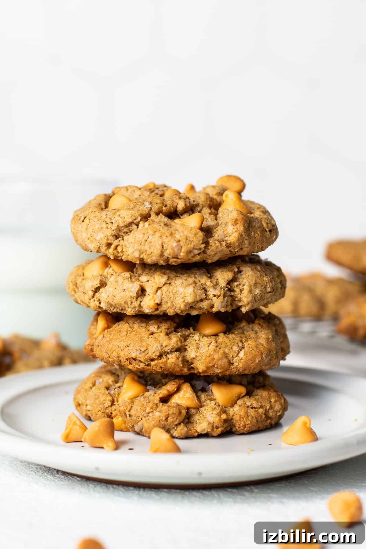 Stack of butterscotch oatmeal cookies on a plate