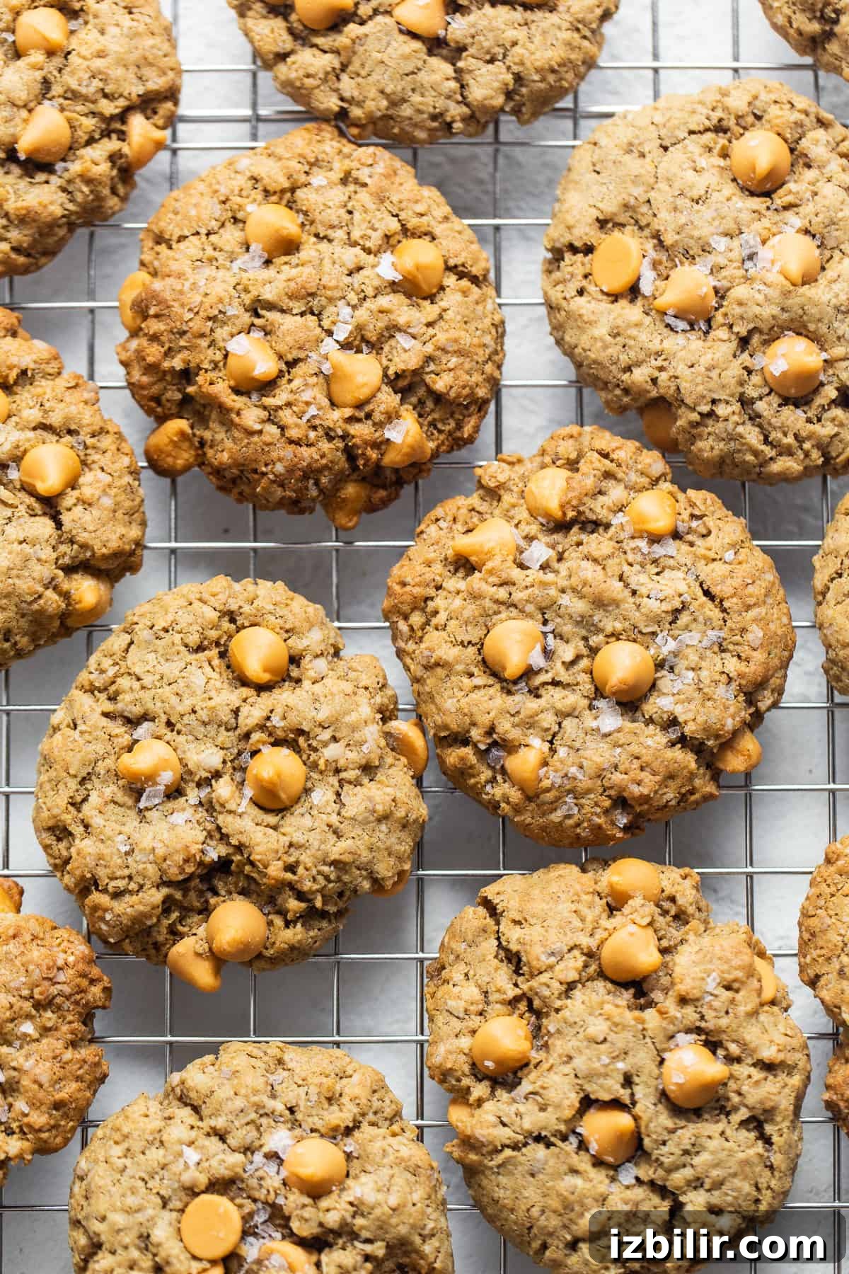 Cookies cooling on a wire rack