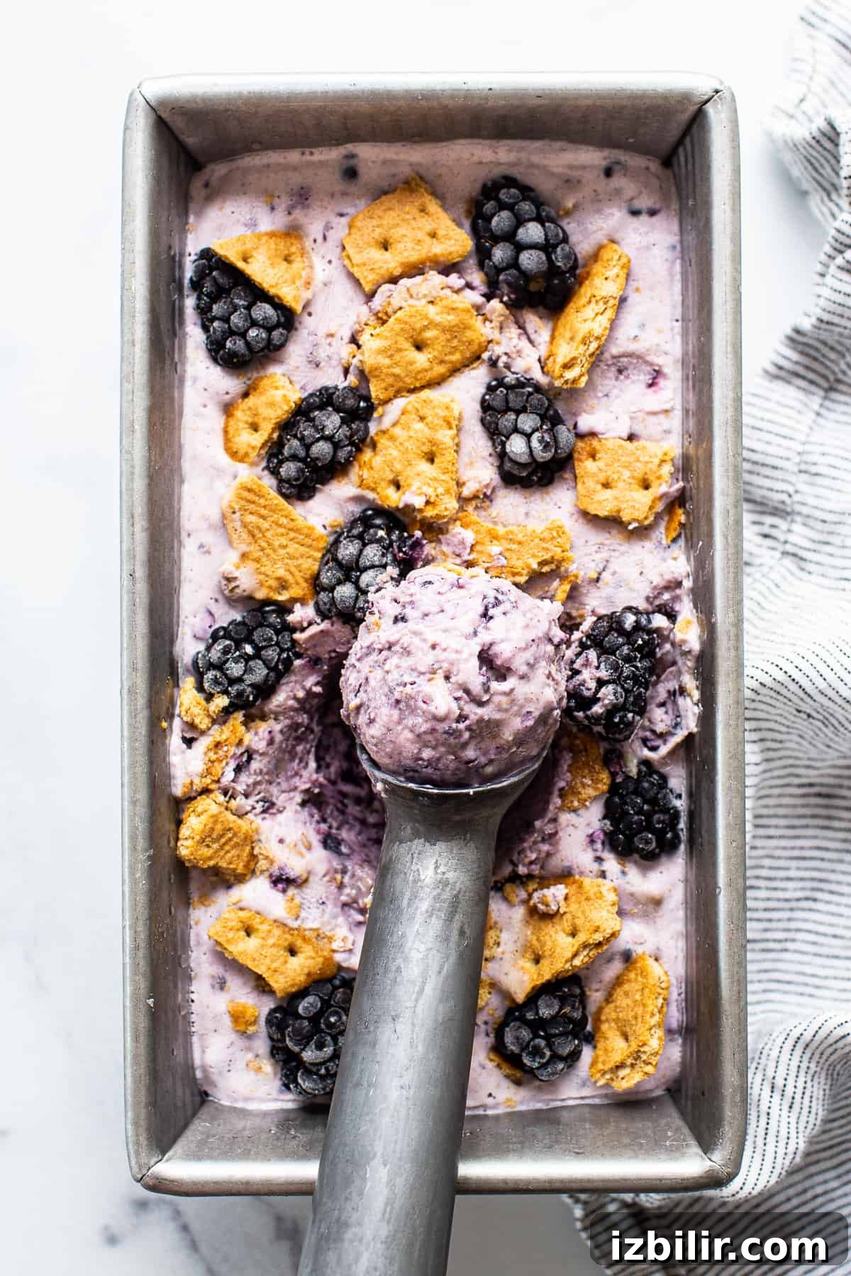 blackberry cheesecake cottage cheese ice cream in a bread pan topped with fresh blackberries and graham cracker crumbs.