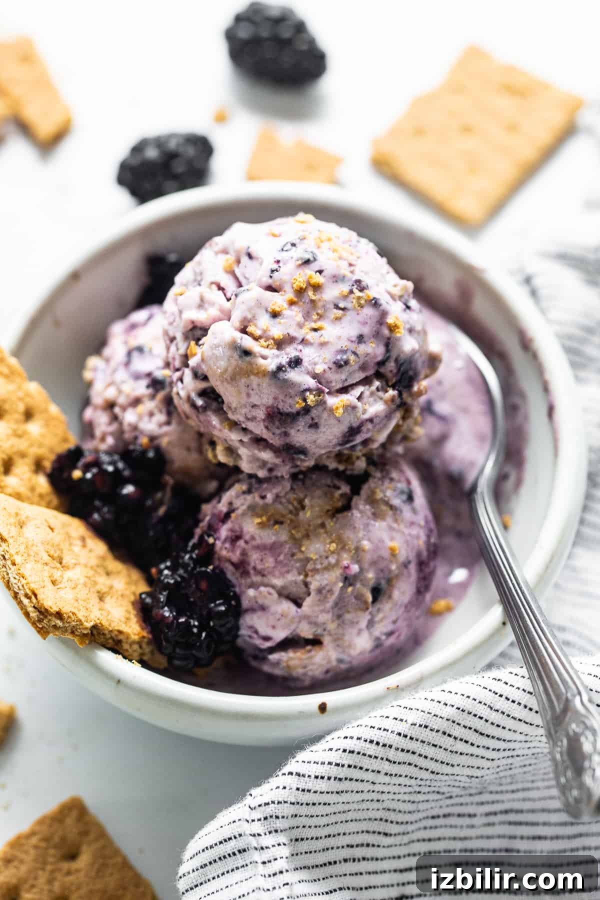 a scoop of blackberry cheesecake cottage cheese ice cream in a white bowl with fresh blackberries.