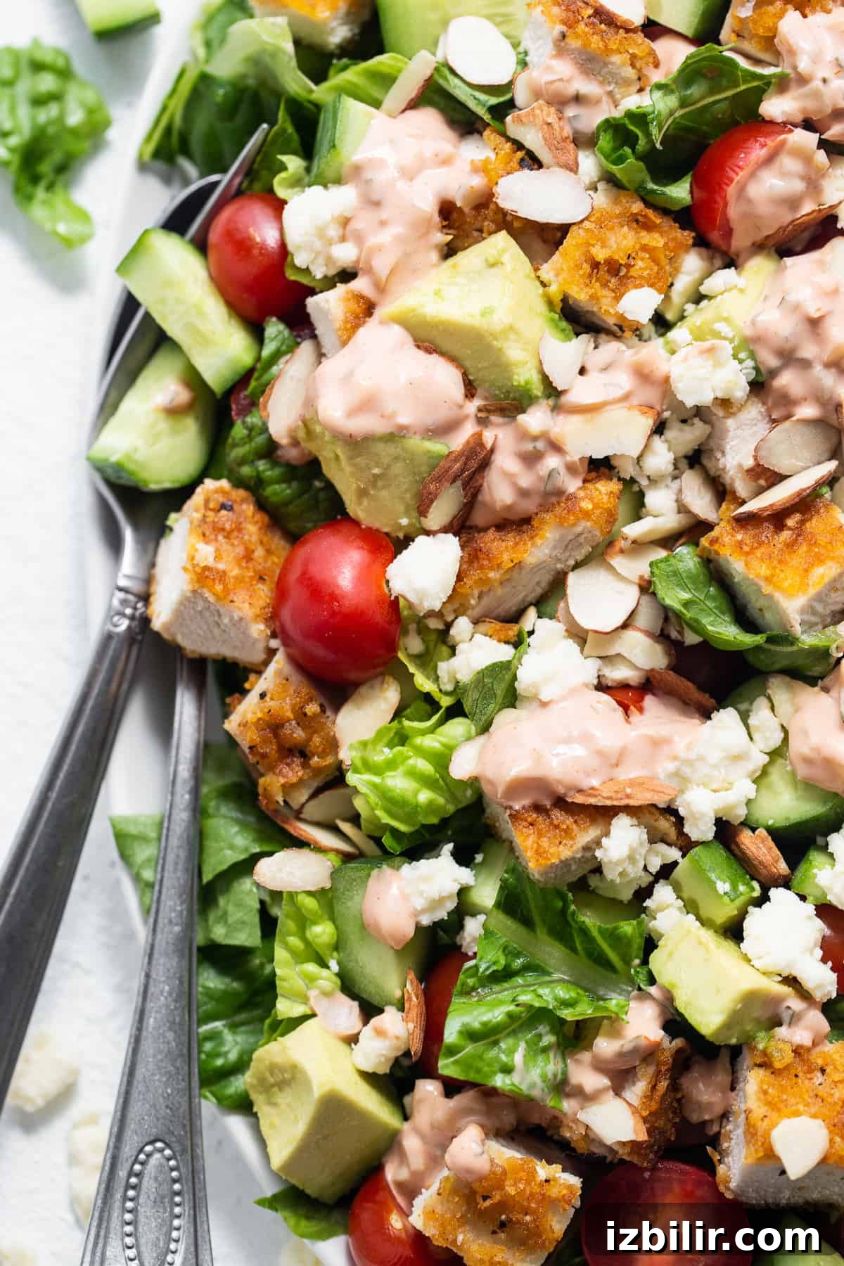 Crispy Chicken Salad with Creamy Thousand Island Dressing 6 Fresh salad with sliced crispy chicken and dressing