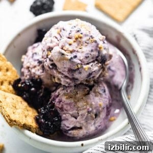 Blackberry cheesecake cottage cheese ice cream
