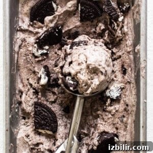 Ice cream on ice cream scoop