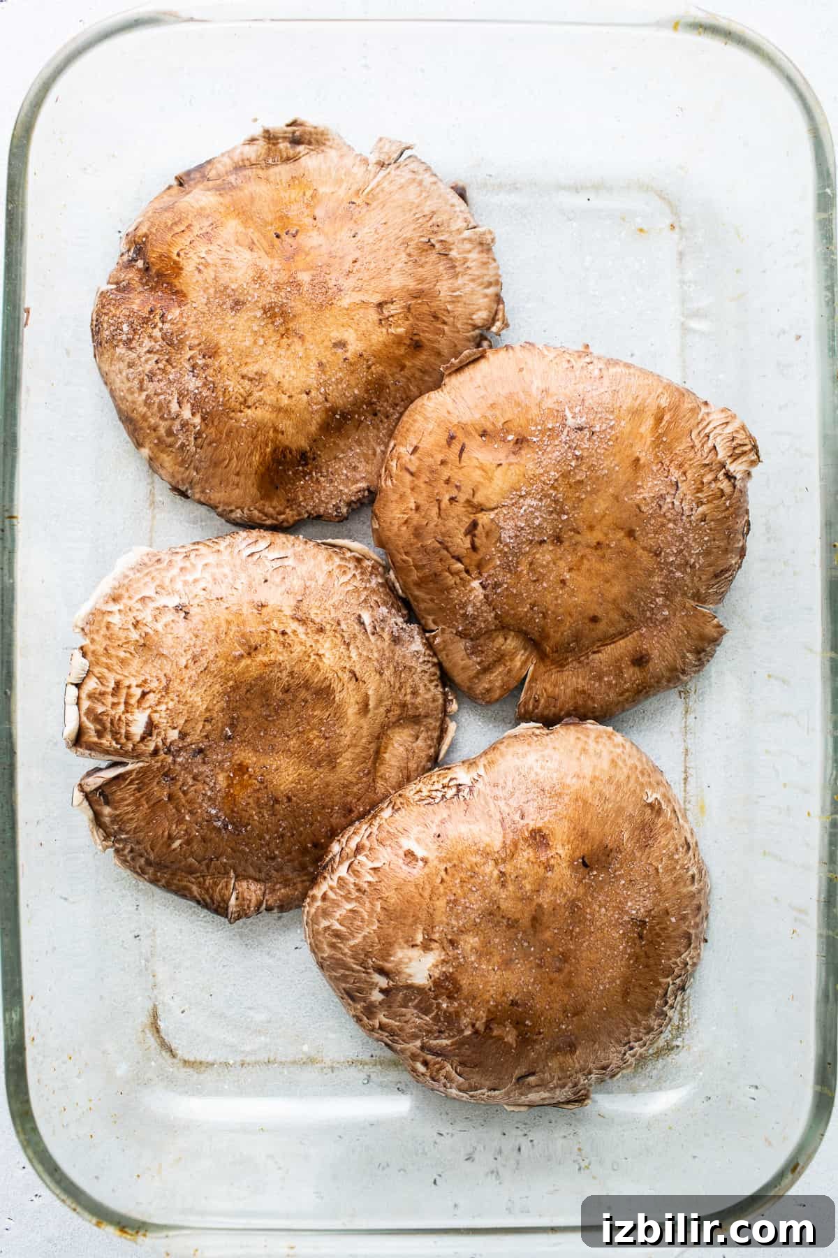 Portobello mushrooms in a baking dish. Portobello mushrooms in a baking dish.