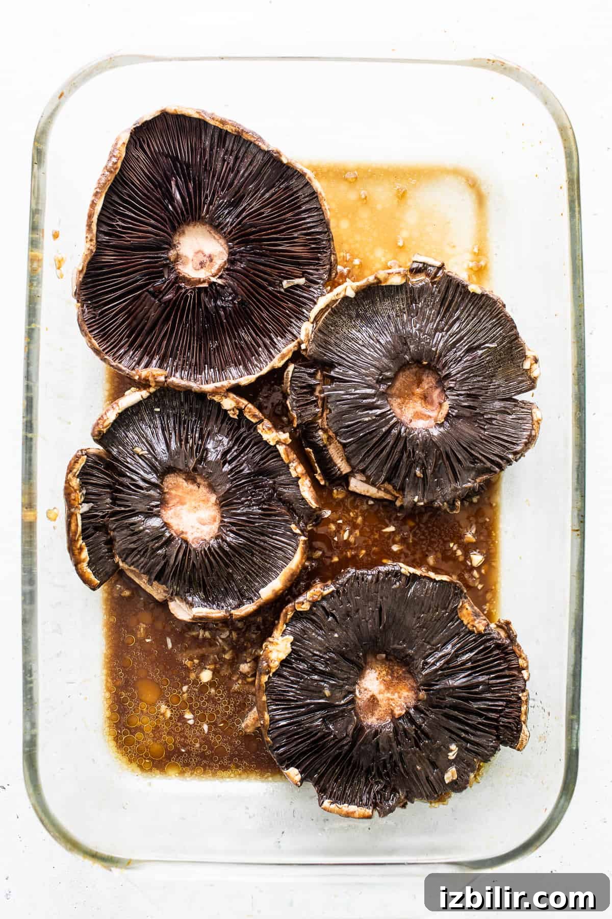 Portobello mushrooms marinating in a baking dish. Portobello mushrooms marinating in a baking dish.