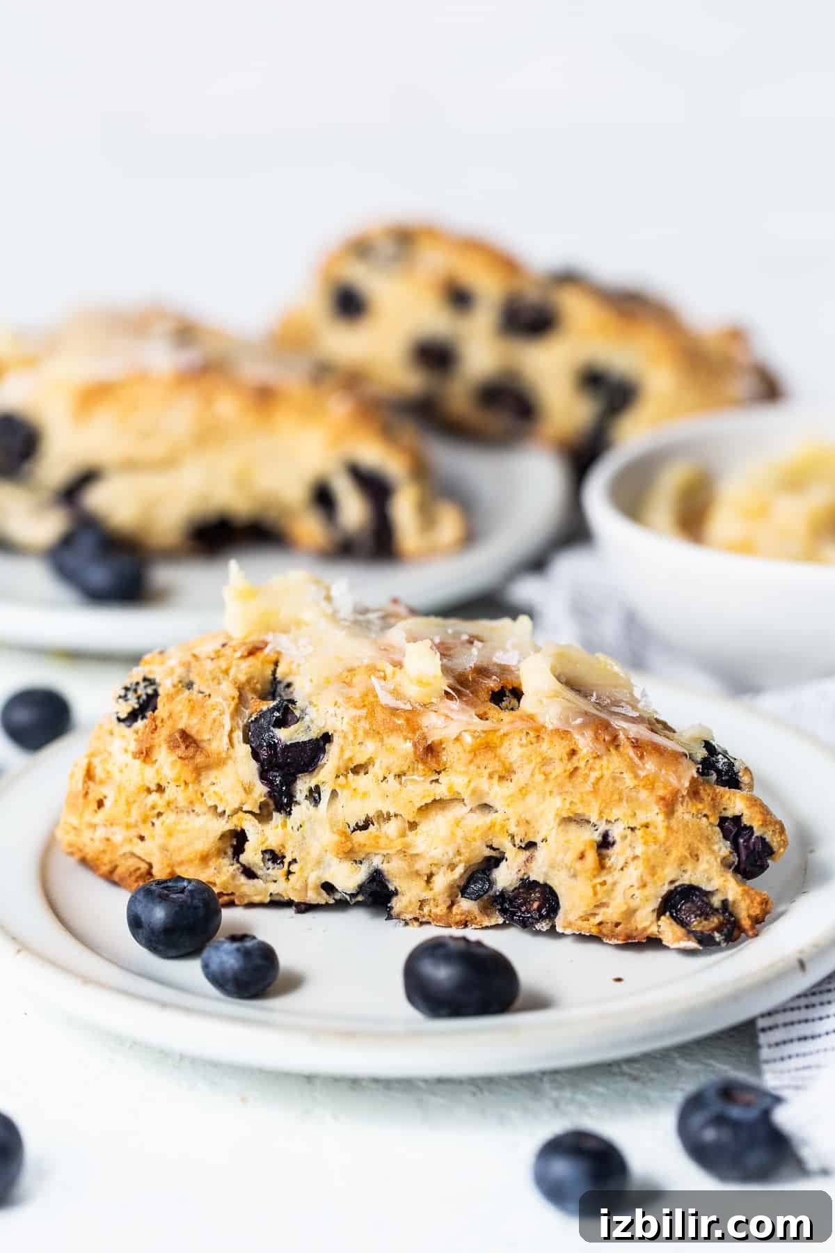 blueberry scones on a plate with a bite taken out of one.