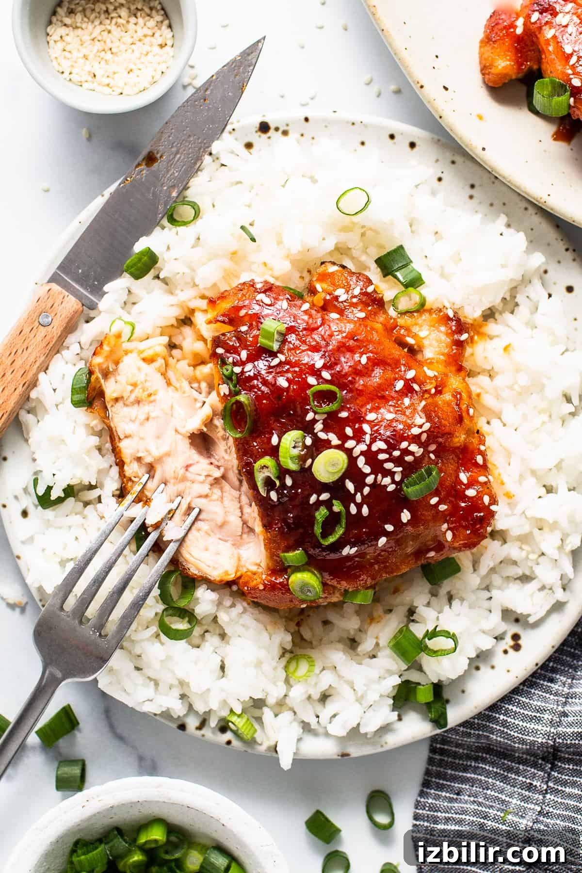 chicken thigh on a plate with rice and a knife.