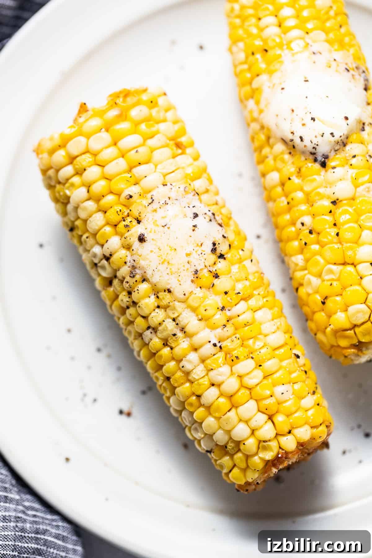 two corn on the cob on a white plate.