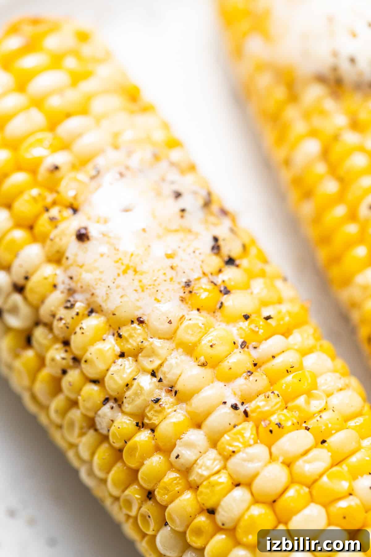 a close up of a corn on the cob.