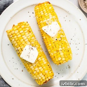 Two corn on the cob with butter on top.