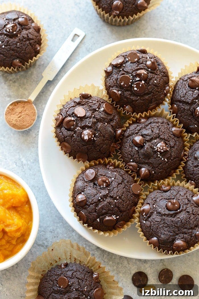 Moist oil-free chocolate pumpkin muffins Chocolate pumpkin muffins on a plate