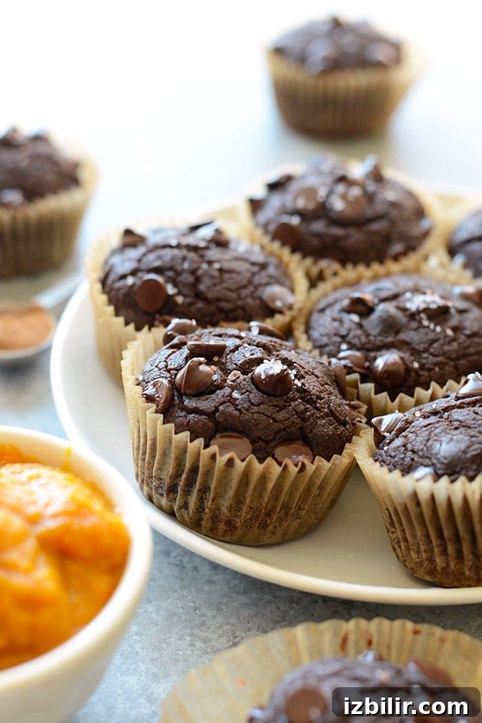 No-Oil Chocolate Pumpkin Muffins Recipe 2 Chocolate pumpkin muffins on a plate