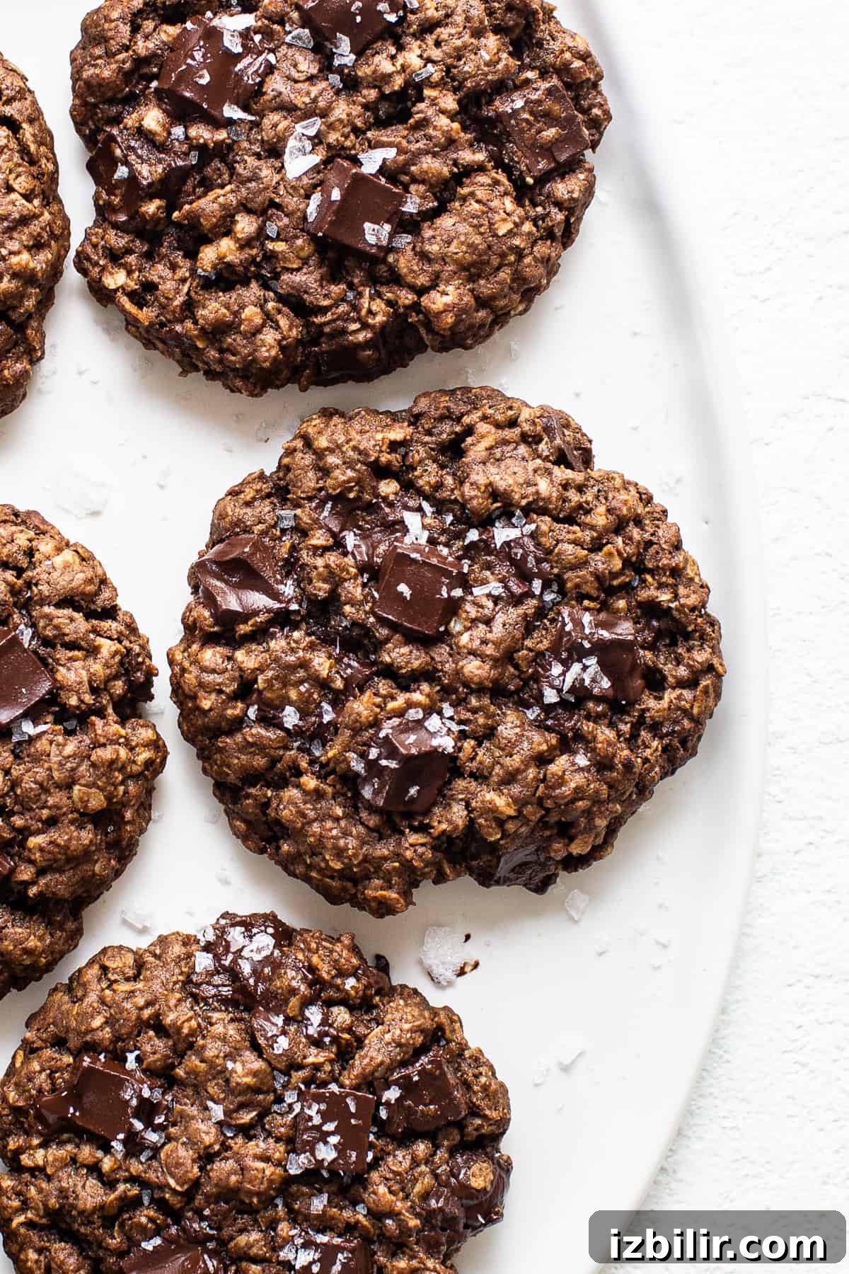 Chewy Chocolate Peanut Butter Oatmeal Cookies Recipe 2 Chocolate oatmeal cookies on a white plate.