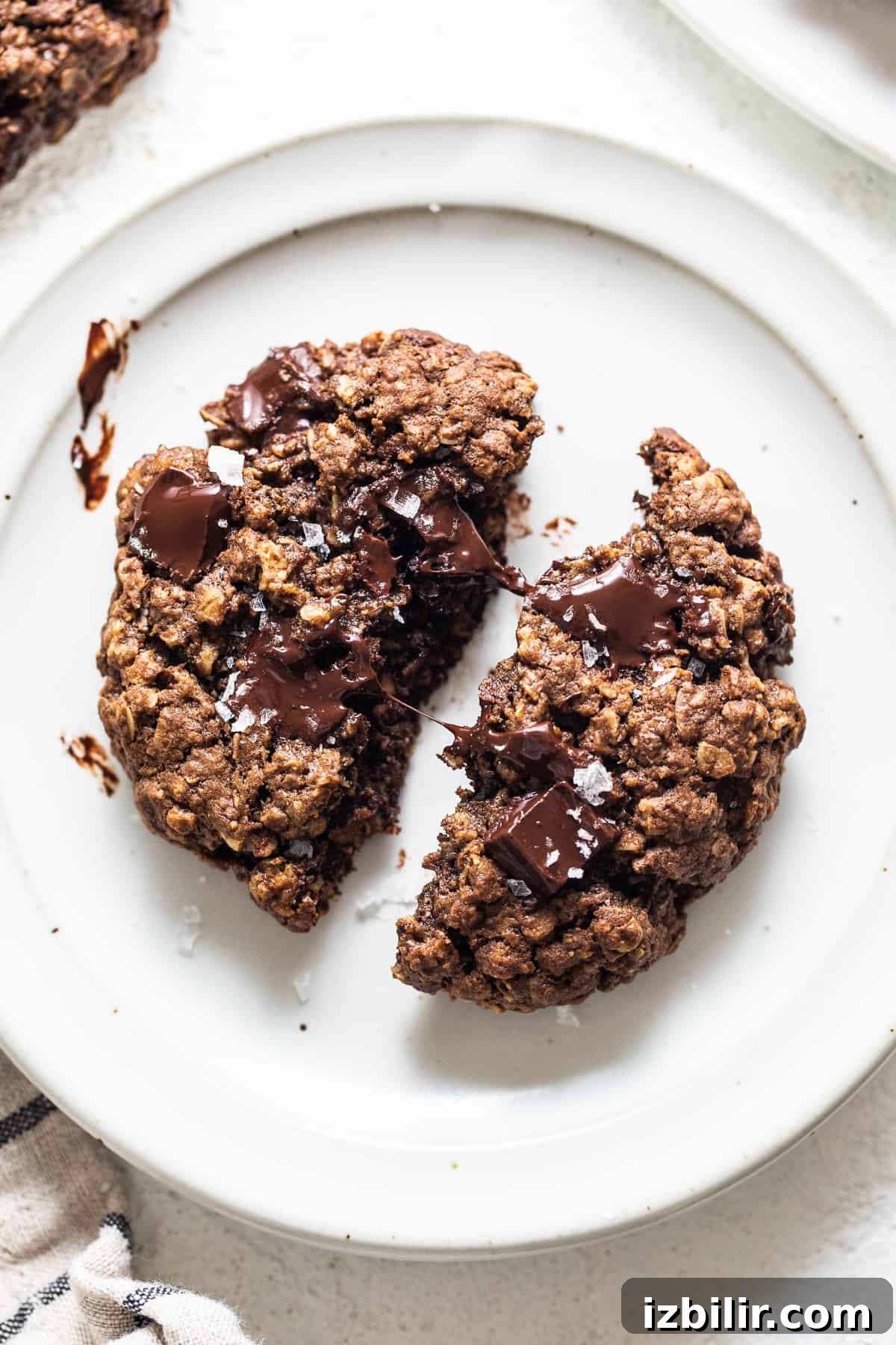 Chewy Chocolate Peanut Butter Oatmeal Cookies Recipe 5 A plate of chocolate oatmeal cookies with a bite taken out.
