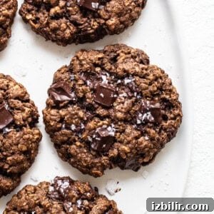 Chewy Chocolate Peanut Butter Oatmeal Cookies Recipe 7 Chocolate oatmeal cookies on a white plate.