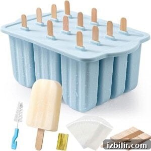 A blue box with ice pops, popsicle sticks and a spatula.