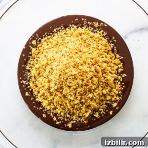 Crunchy Chocolate Quinoa Crisps Recipe 9 a plate of food that is on a table.