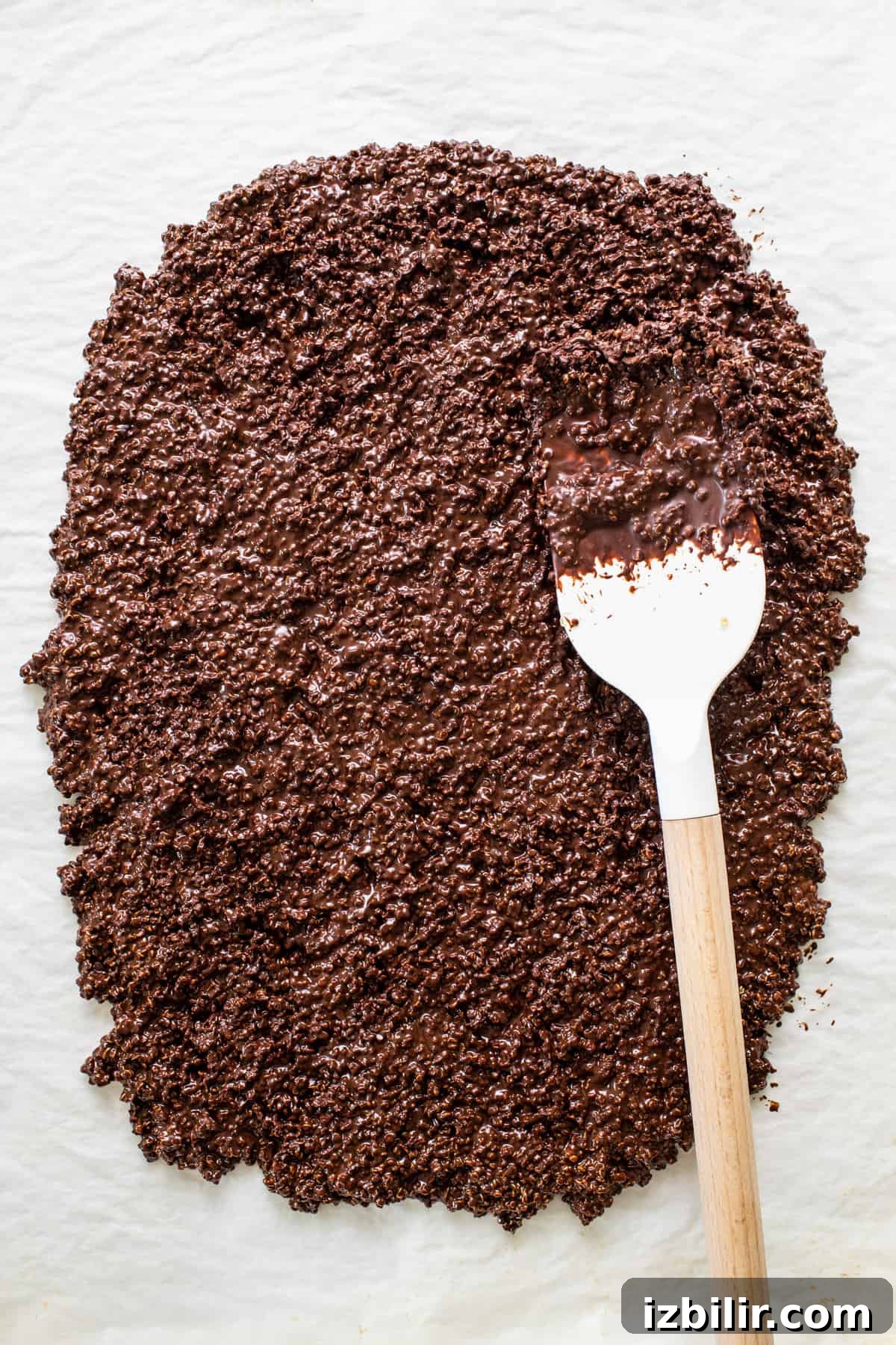 Crunchy Chocolate Quinoa Crisps Recipe 4 a spoon with some chocolate powder on it.