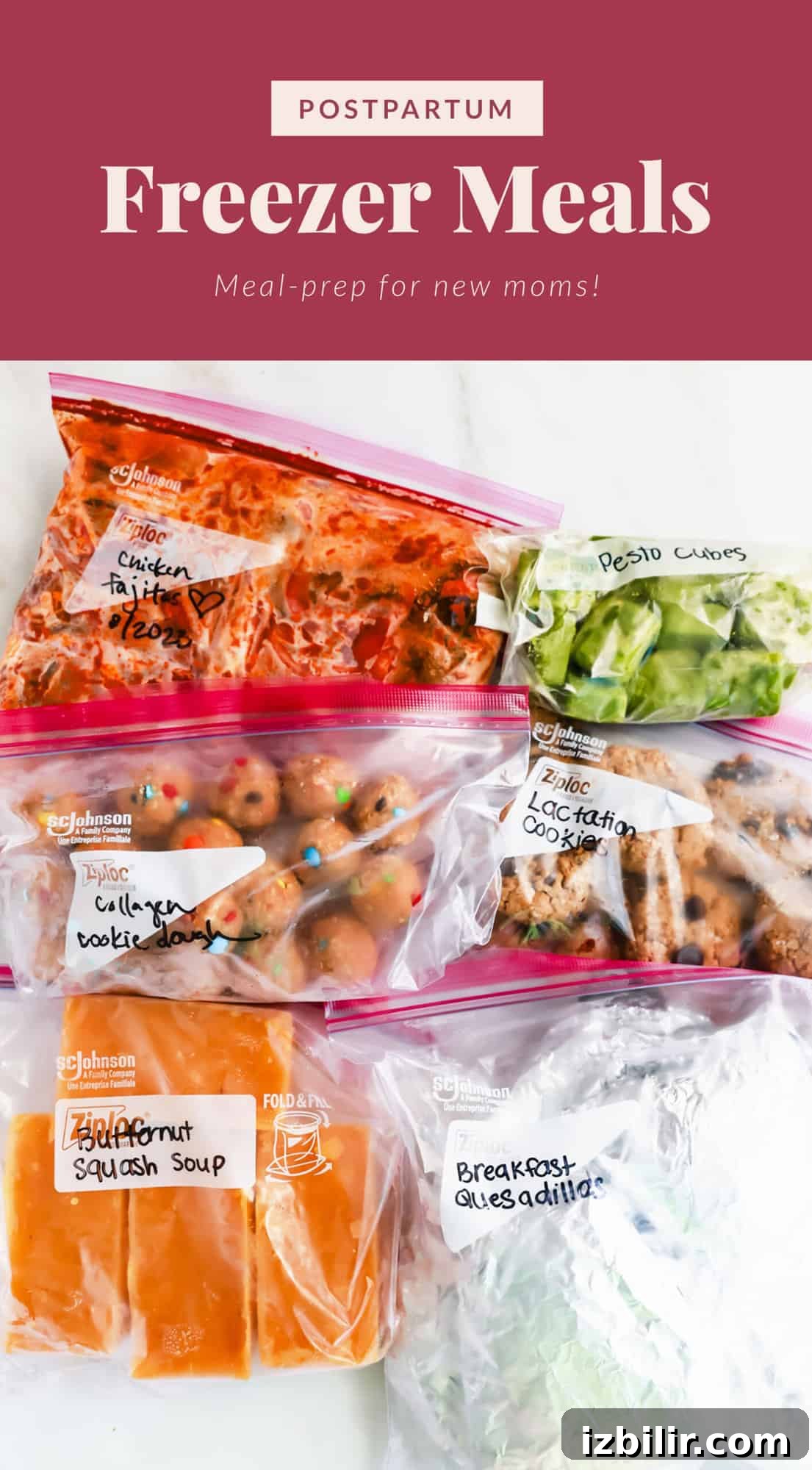 Montezuma freezer meals for new moms.