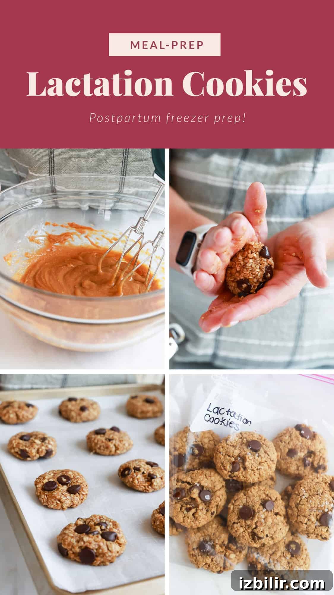 A picture of a recipe for lactation cookies.