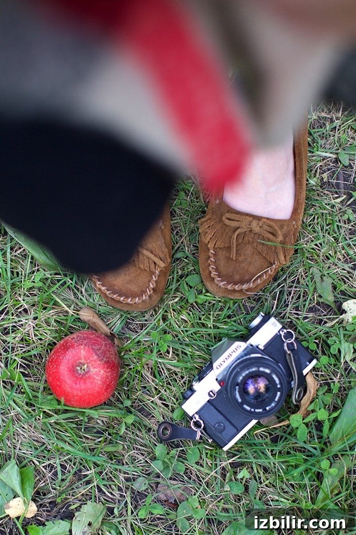 Minnesota Series- Minnetonka Orchards with the Girls