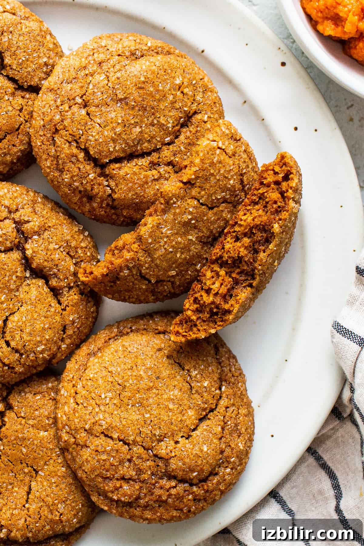 A plate of ginger cookies with a bite taken out of them.
