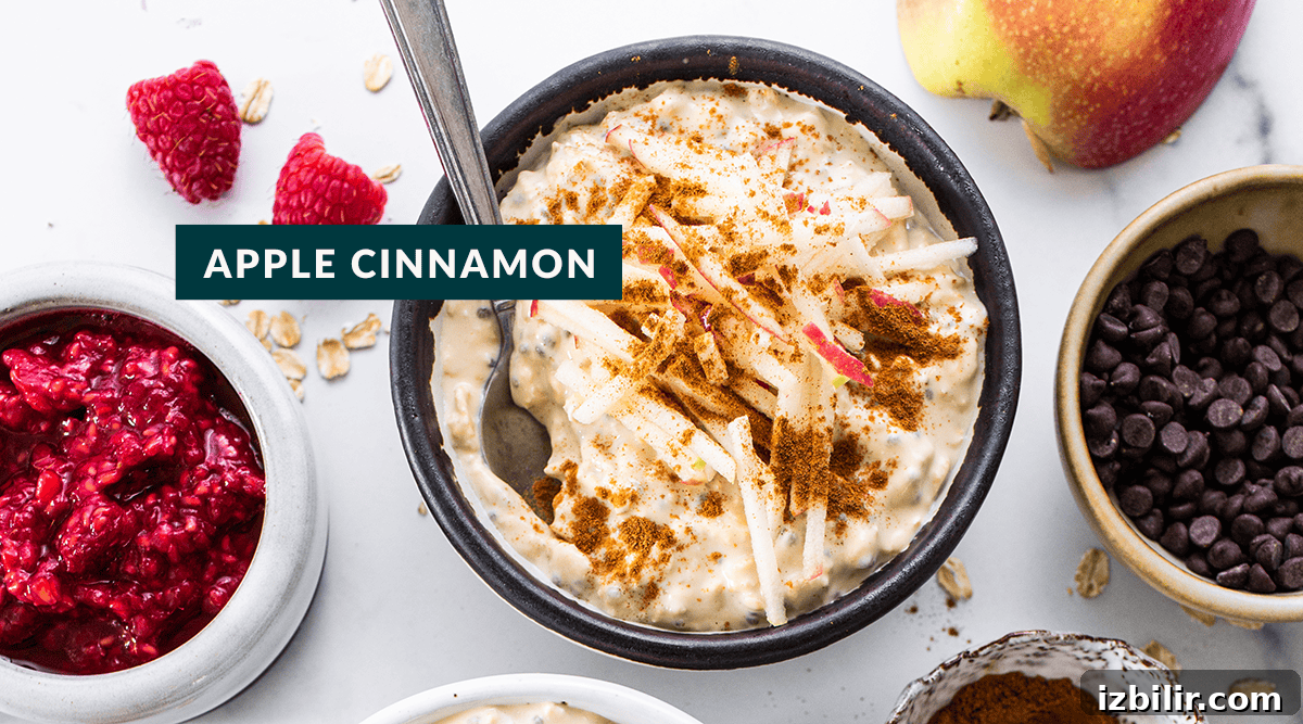 3 Protein-Packed Overnight Oats Recipes 6 apple cinnamon overnight oats