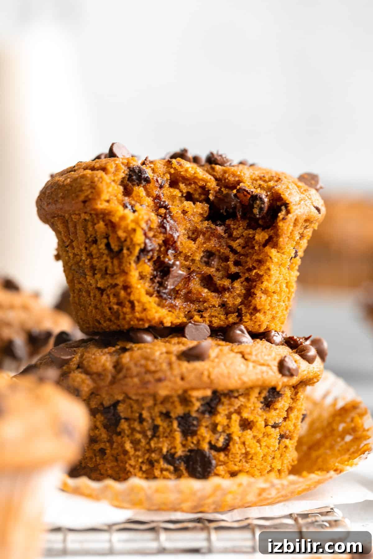 Classic Pumpkin Muffins Recipe with Warm Fall Spices 2 Pumpkin chocolate chip muffins stacked on top of each other.