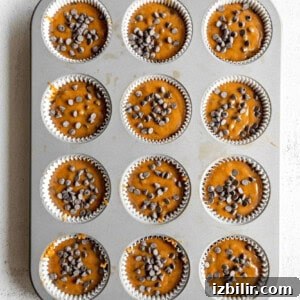 Classic Pumpkin Muffins Recipe with Warm Fall Spices 8 Pumpkin chocolate chip muffins in a muffin tin.