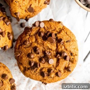 Classic Pumpkin Muffins Recipe with Warm Fall Spices 9 Pumpkin chocolate chip muffins with chocolate chips.