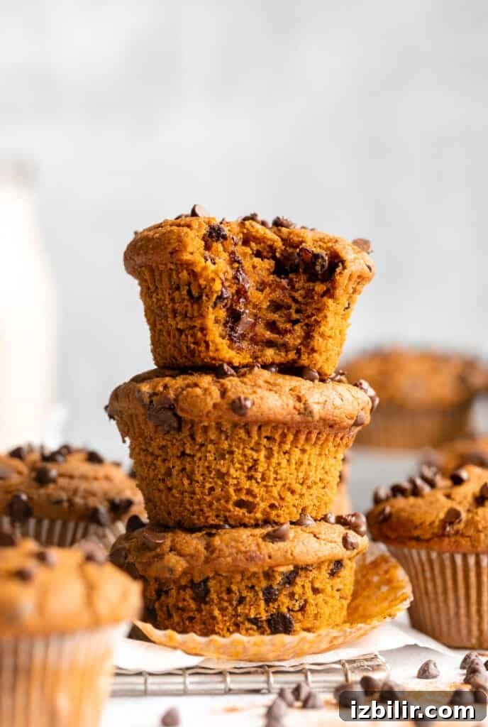 Classic Pumpkin Muffins Recipe with Warm Fall Spices 4 A stack of pumpkin chocolate chip muffins with a bite taken out.