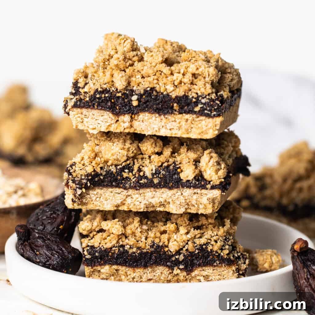 Fig-Filled Oatmeal Crumble Bars 2 A stack of fig bars on a plate.