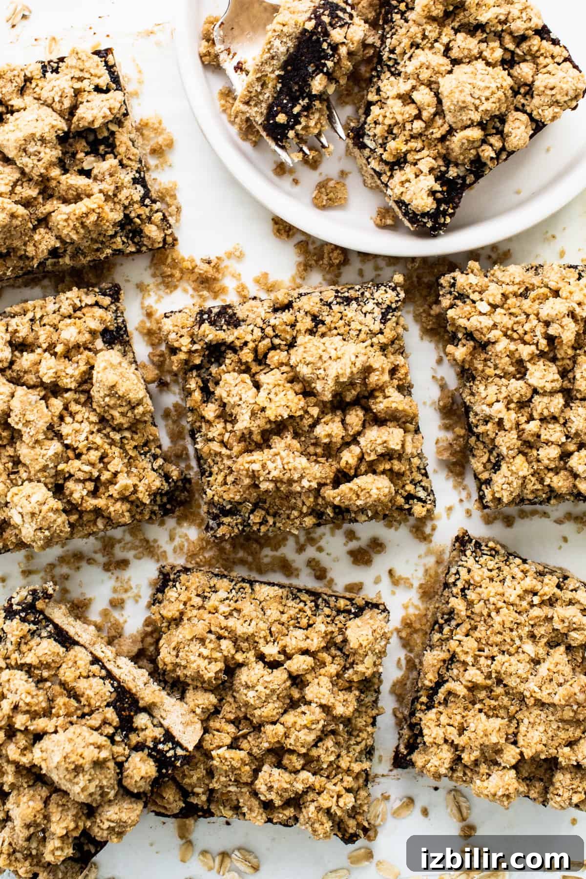 Fig-Filled Oatmeal Crumble Bars 6 A plate of fig bars ready to serve.