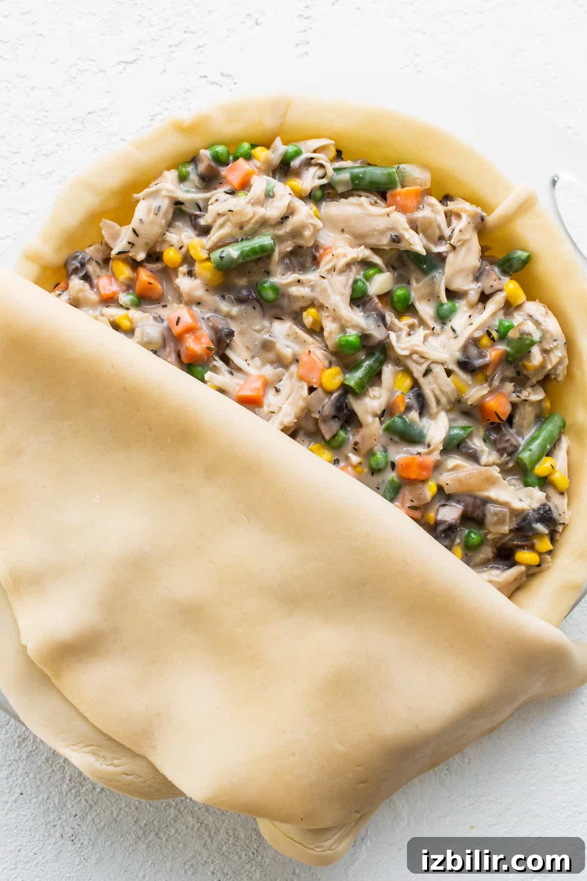 A pie filled with chicken and vegetables on a white plate.