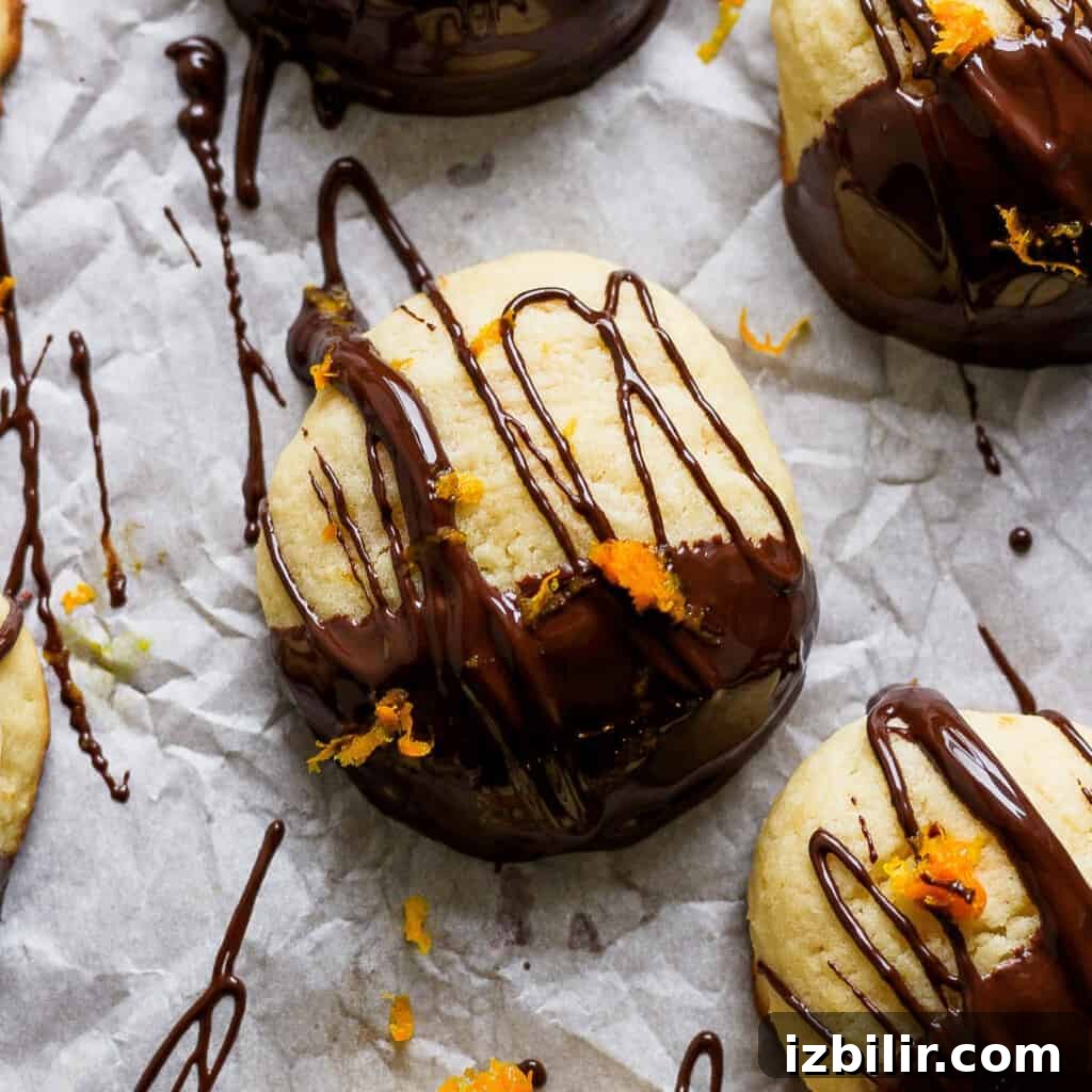 Zesty Chocolate Orange Ricotta Cookies 2 Chocolate orange ricotta cookies covered in dark chocolate and orange zest.