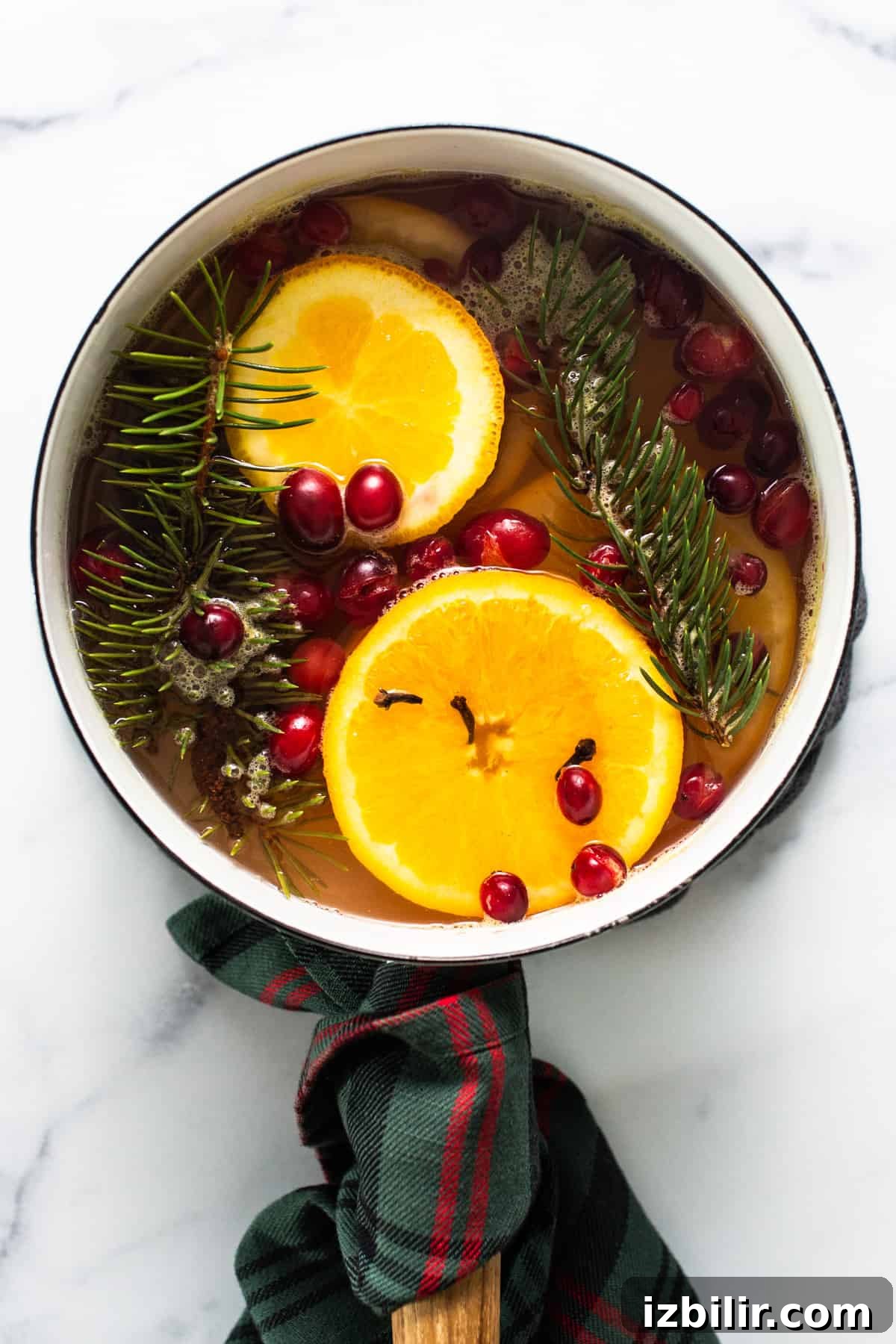 Holiday Simmer Pot Recipe for a Cozy, Fragrant Home 2 A pan with oranges, cranberries and sprigs of fir.