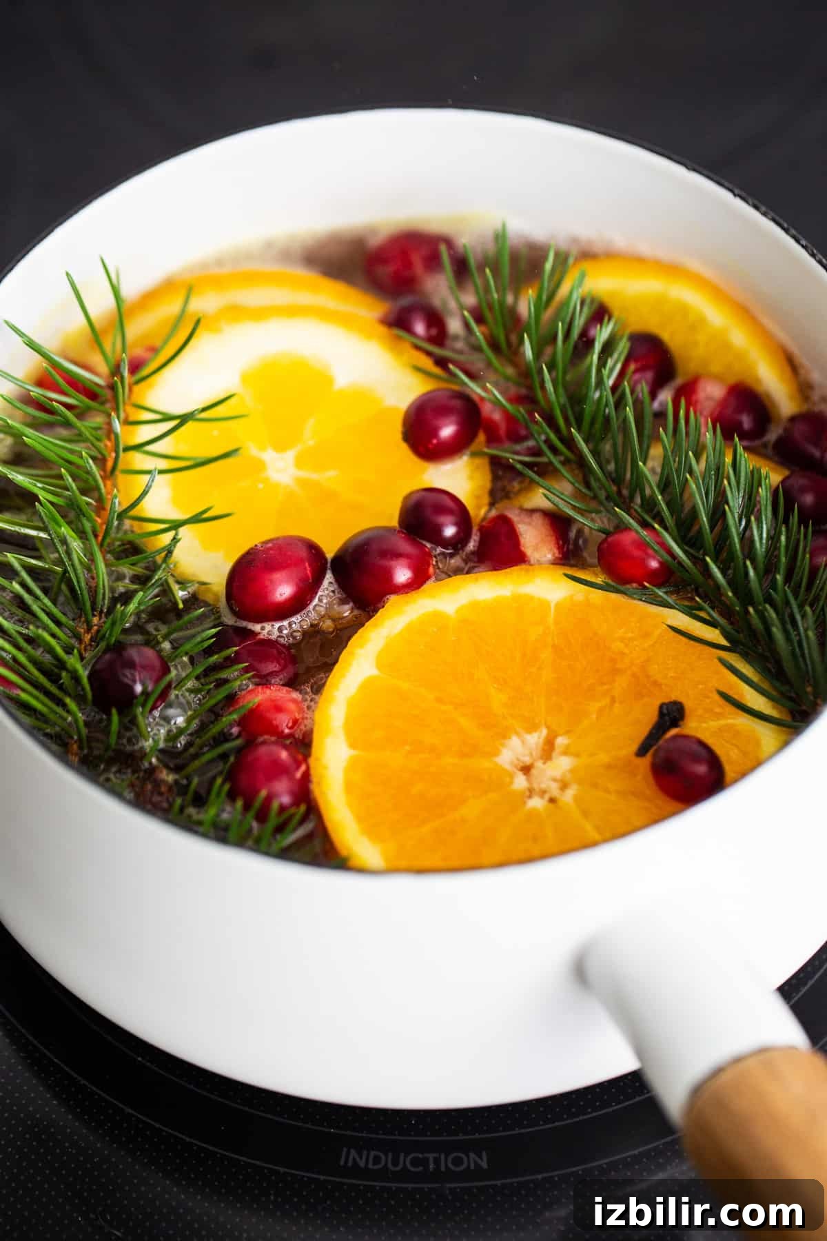 Holiday Simmer Pot Recipe for a Cozy, Fragrant Home 5 A pot with oranges, cranberries and sprigs of fir.