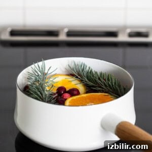 Holiday Simmer Pot Recipe for a Cozy, Fragrant Home 6 A white pan with oranges and pine needles on top of a stove.