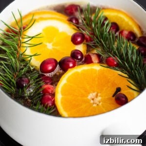 Holiday Simmer Pot Recipe for a Cozy, Fragrant Home 7 A pot with oranges, cranberries and sprigs of fir.