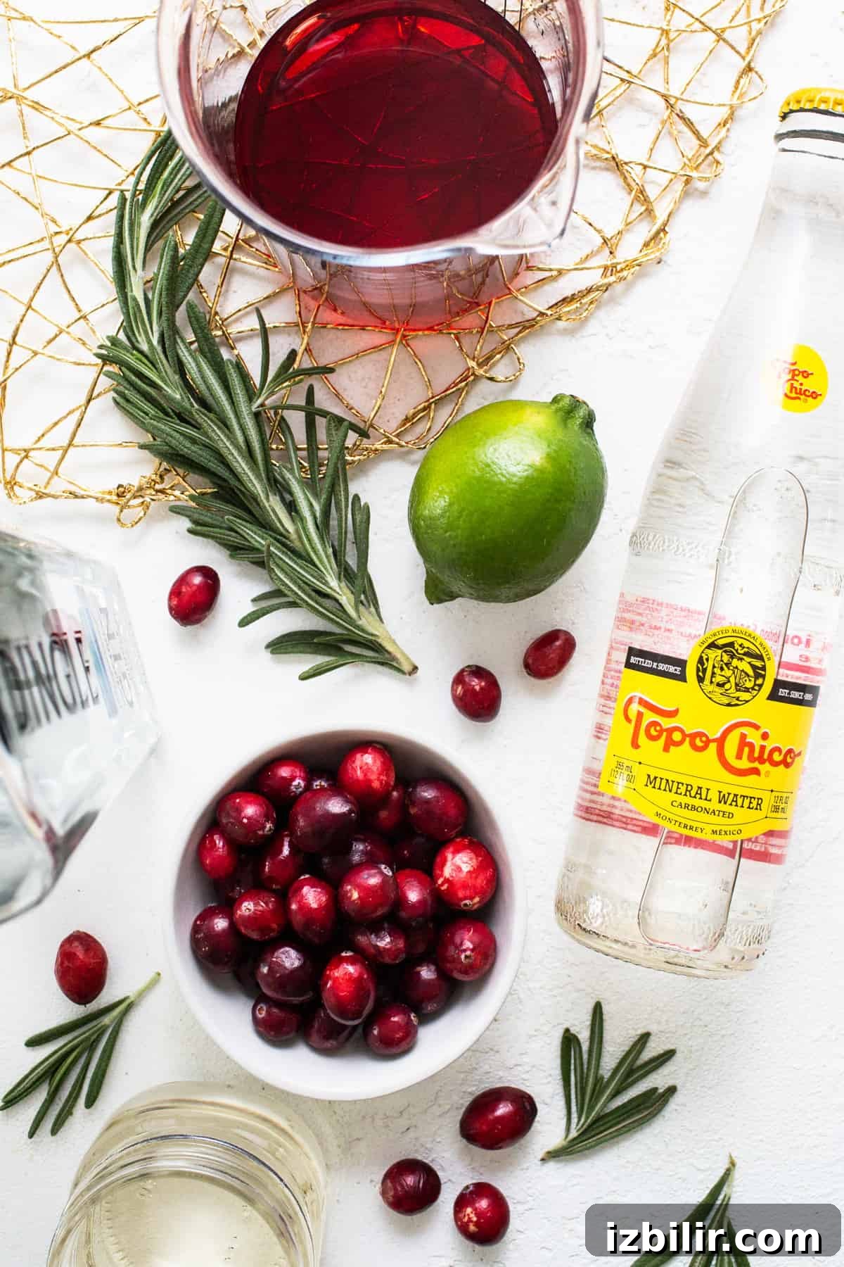 The ingredients for a cranberry gin cocktail.