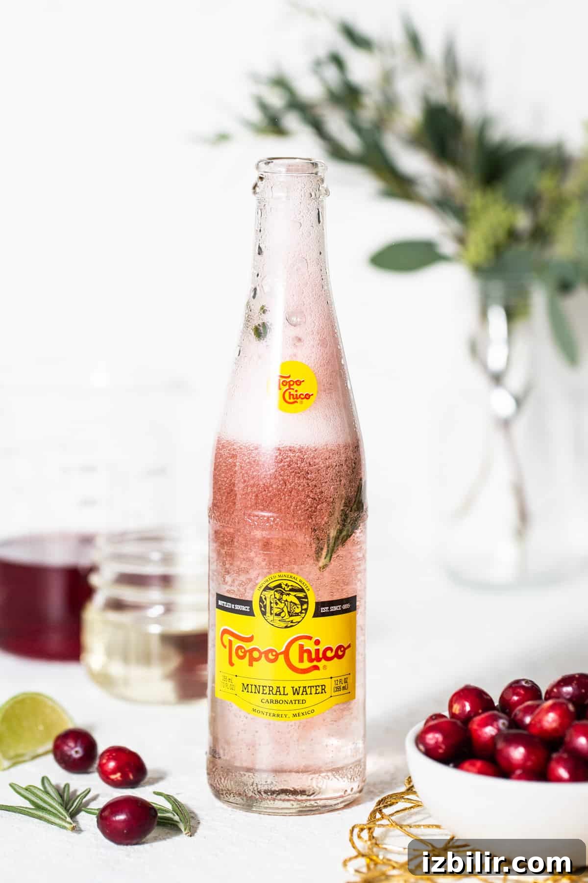 A bottle of cranberry gin with cranberries on a table.