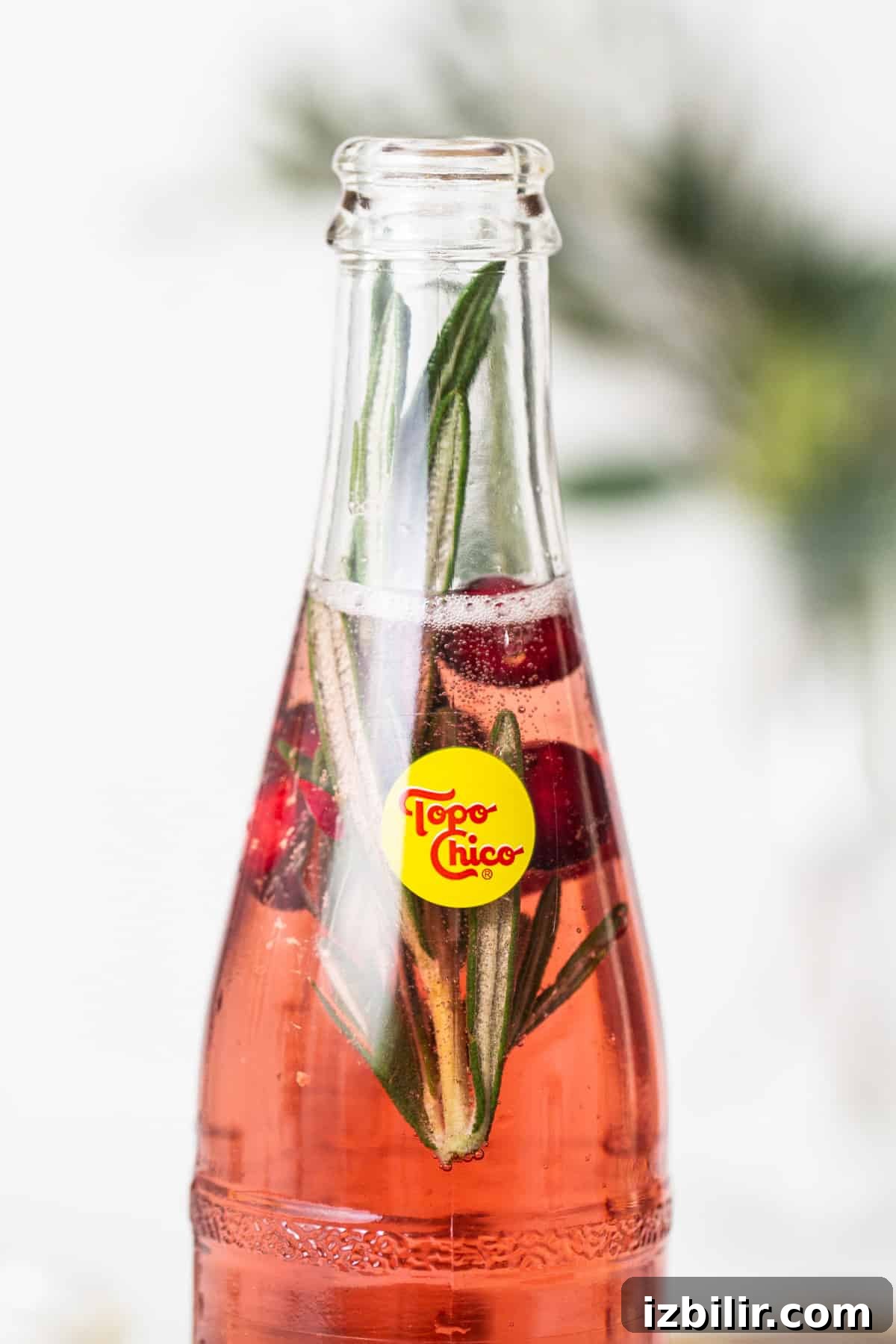 A bottle of soda with cranberry juice and sprigs of rosemary.
