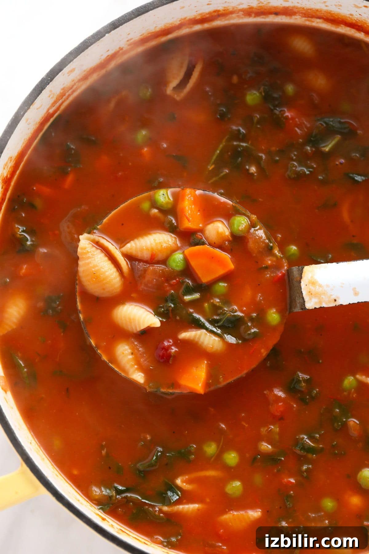 A ladle full of minestrone soup.