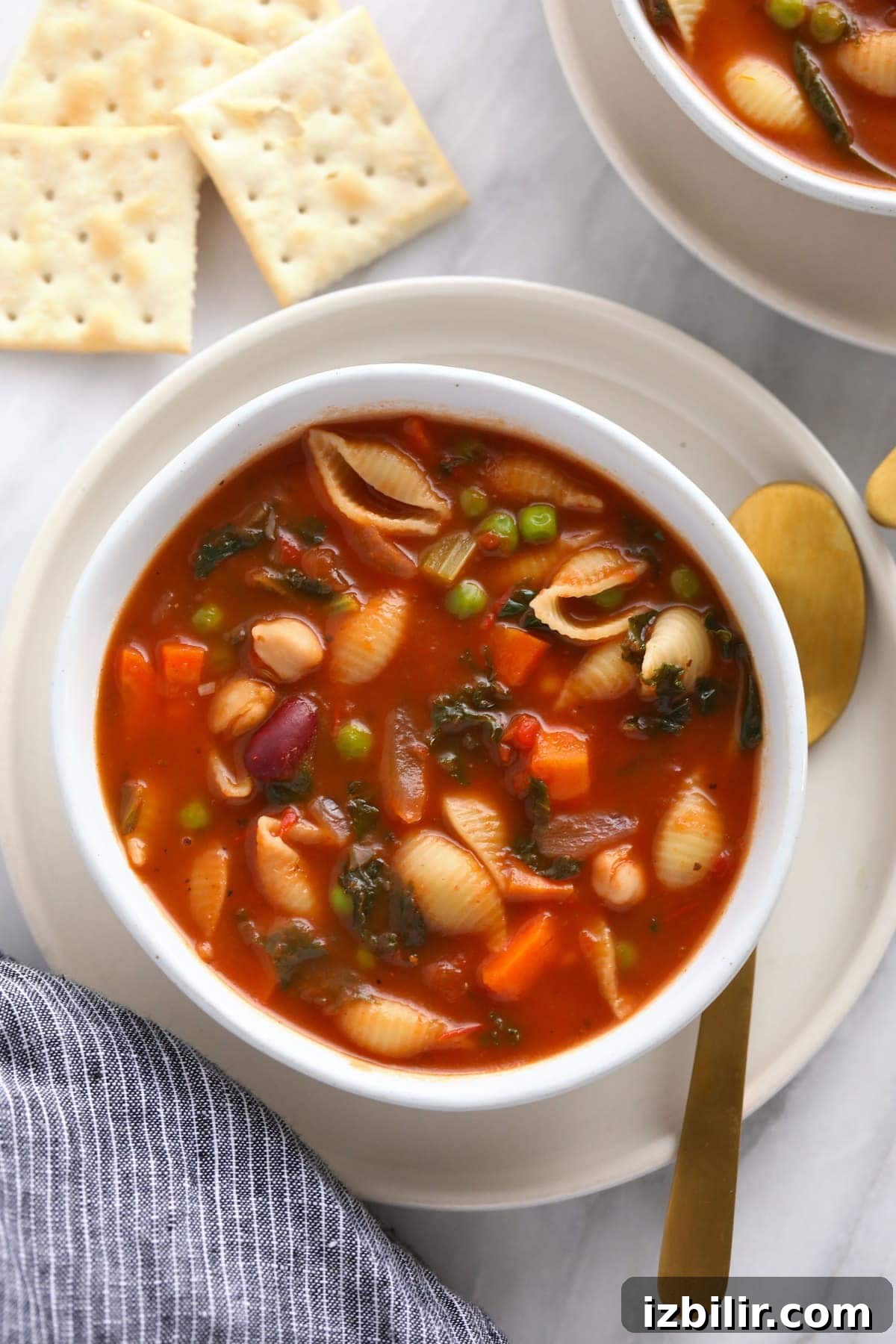A bowl of minestrone soup.