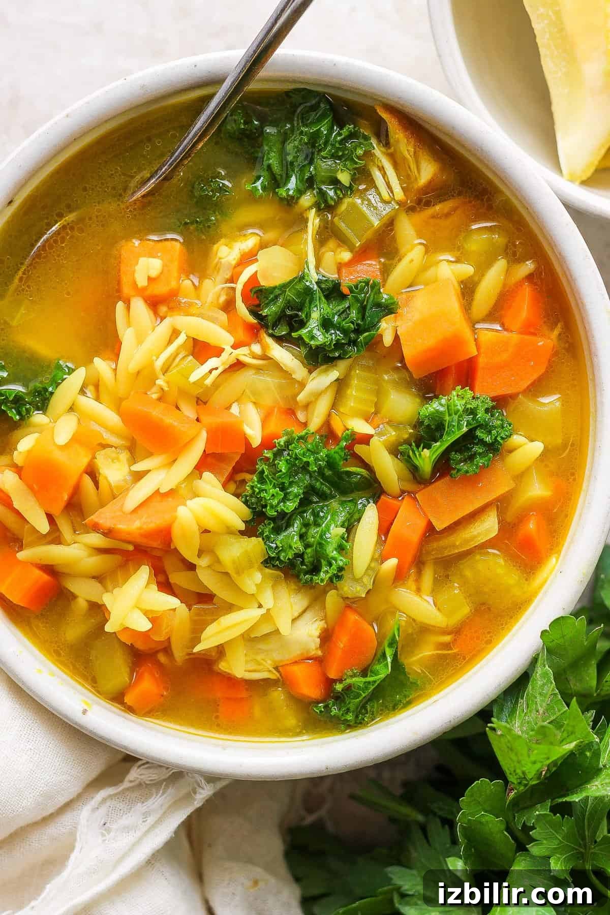Golden Chicken and Orzo Soup Recipe 2 A bowl of soup with carrots and kale.