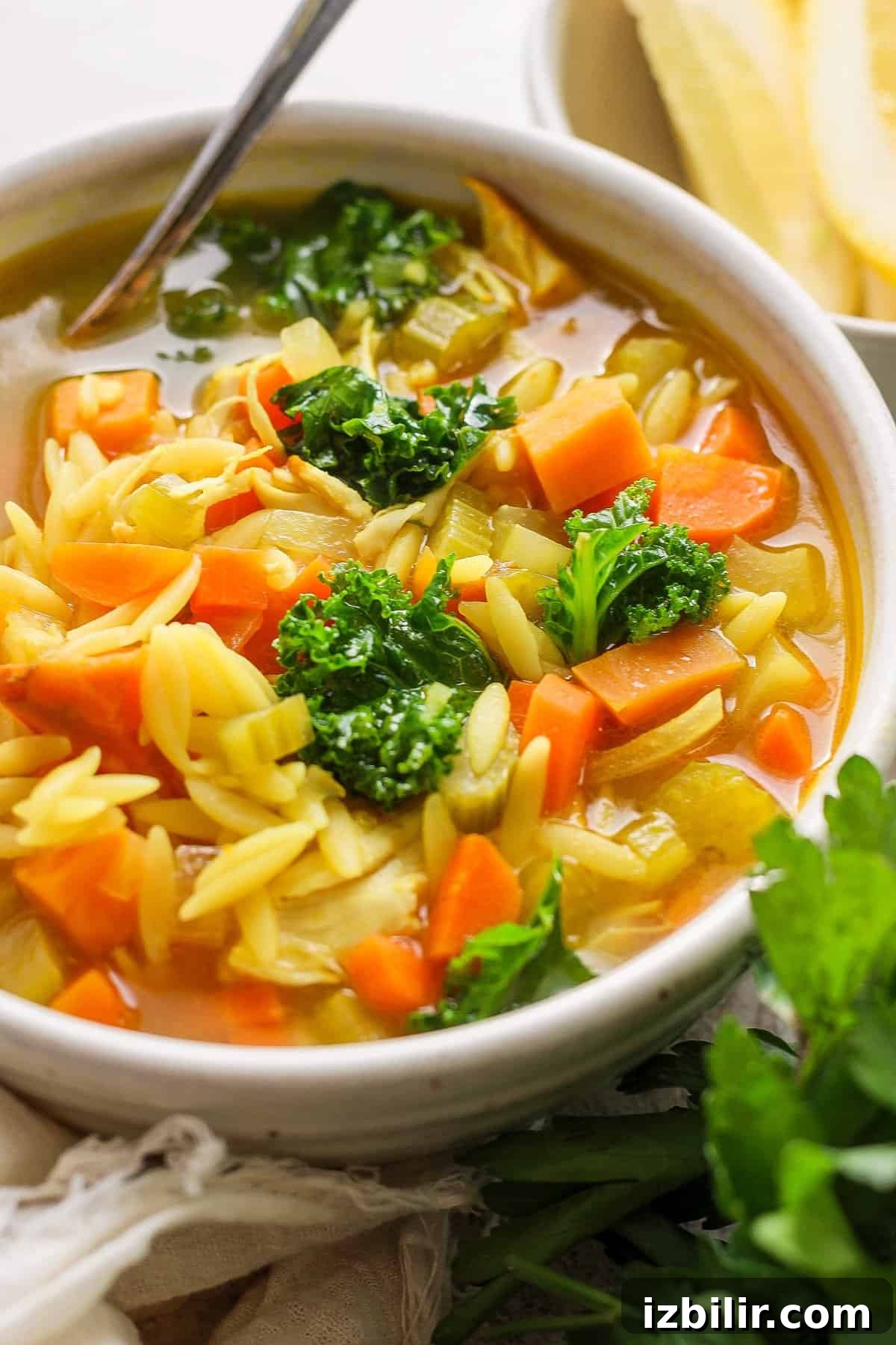Golden Chicken and Orzo Soup Recipe 7 A bowl of soup with carrots and broccoli.