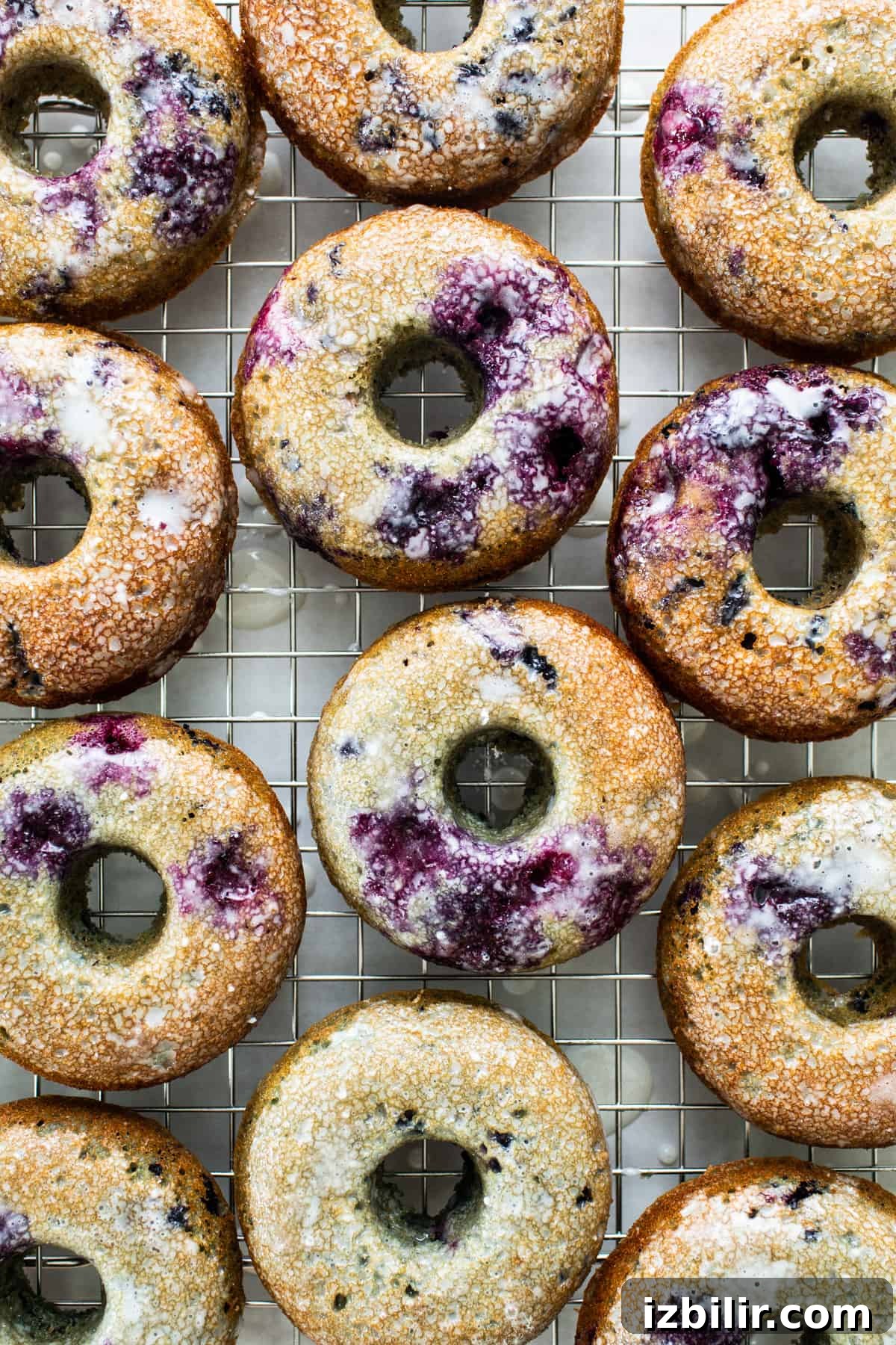 Blueberry donuts with powdered sugar on a cooling rack.